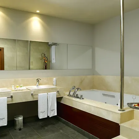 Sercotel Ciutat De 4*