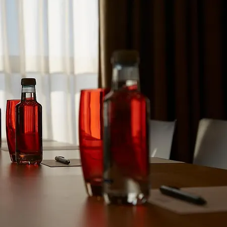 Sercotel Ciutat De 4* Montcada i Reixac