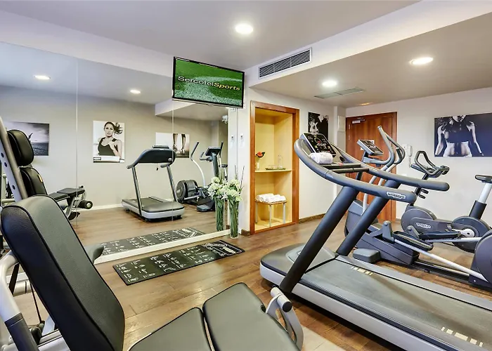 Sercotel Ciutat De 4* Montcada i Reixac