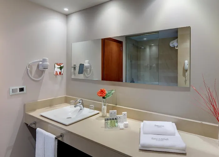 Sercotel Ciutat De 4* Montcada i Reixac